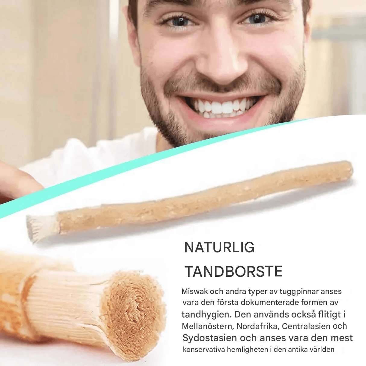 HerbaBrush - Natürliche Zahnbürste von Miswak für die traditionelle Zahnpflege und auf Reisen