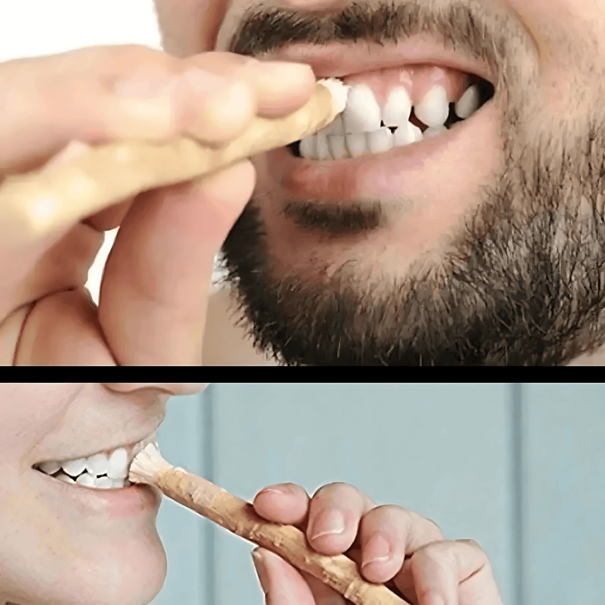 HerbaBrush - Natürliche Zahnbürste von Miswak für die traditionelle Zahnpflege und auf Reisen