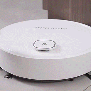 Smart Roboter Staubsauger 1200mAh mit Kehren und Wischen Trocken- und Nassreinigung 1500Pa