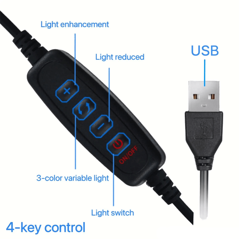 3D Bär Glas Nachtlicht Feuerwerk
