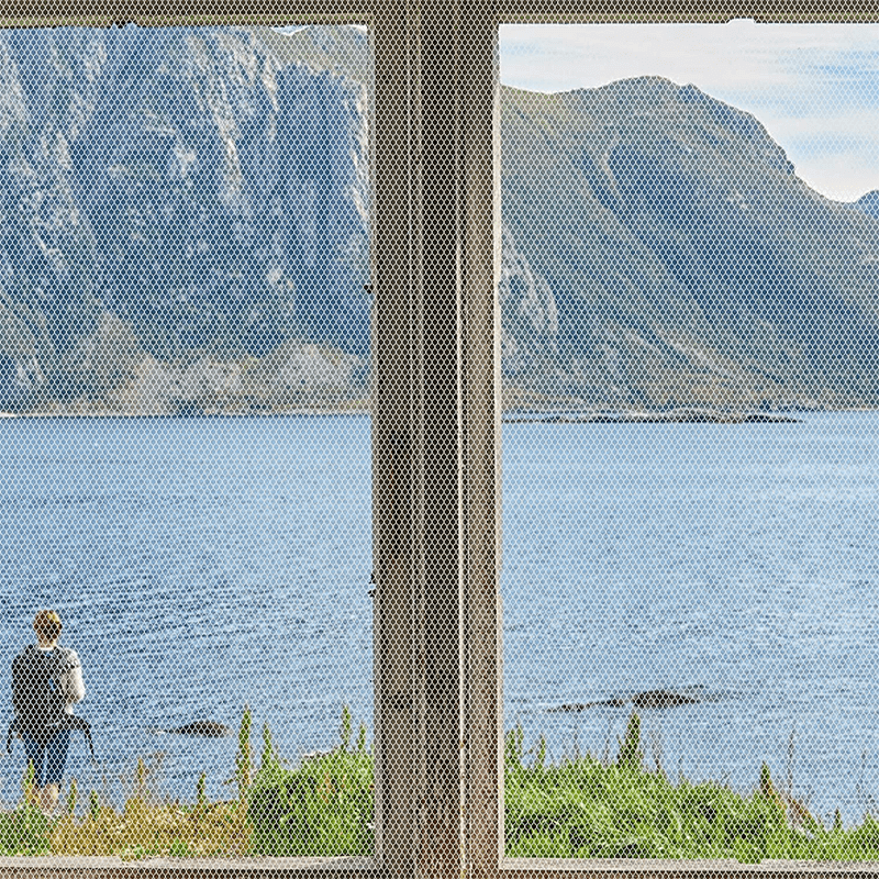 Selbstklebendes Insektenschutzgitter für Fenster - einfache Installation & Effektiver Schutz