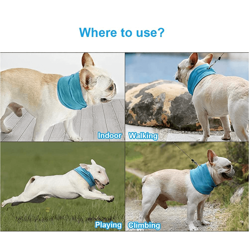 Kühlendes Halsband für Haustiere