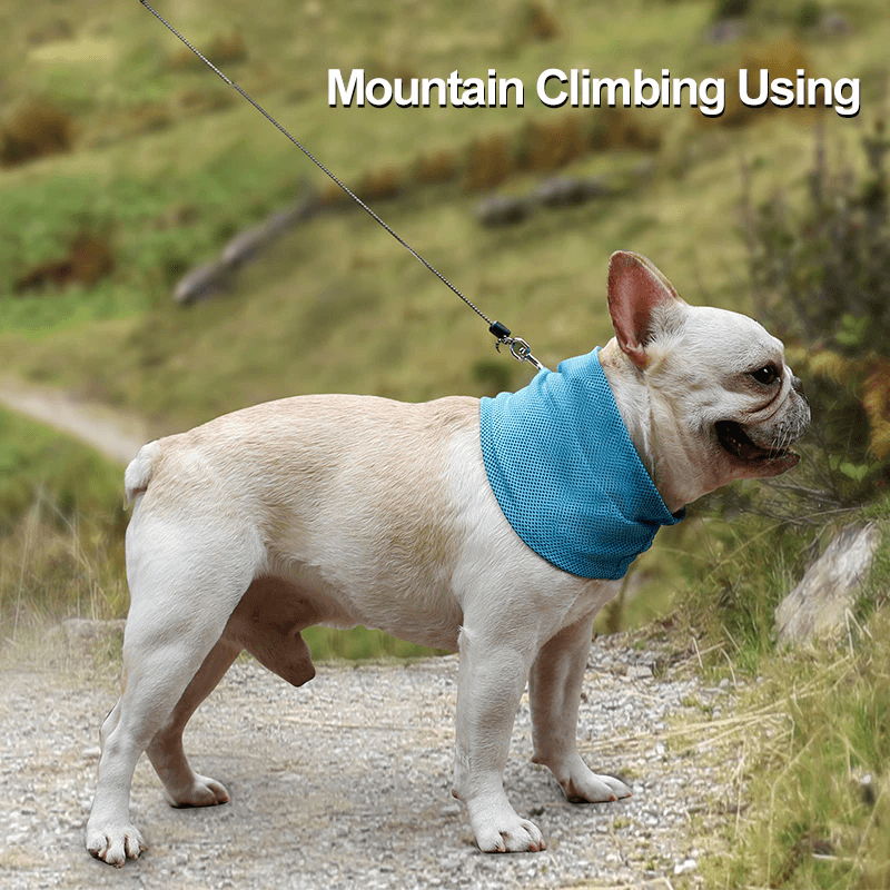 Kühlendes Halsband für Haustiere