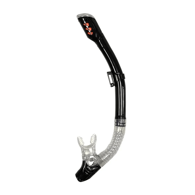 Professionelles Tauchen Schnorcheln