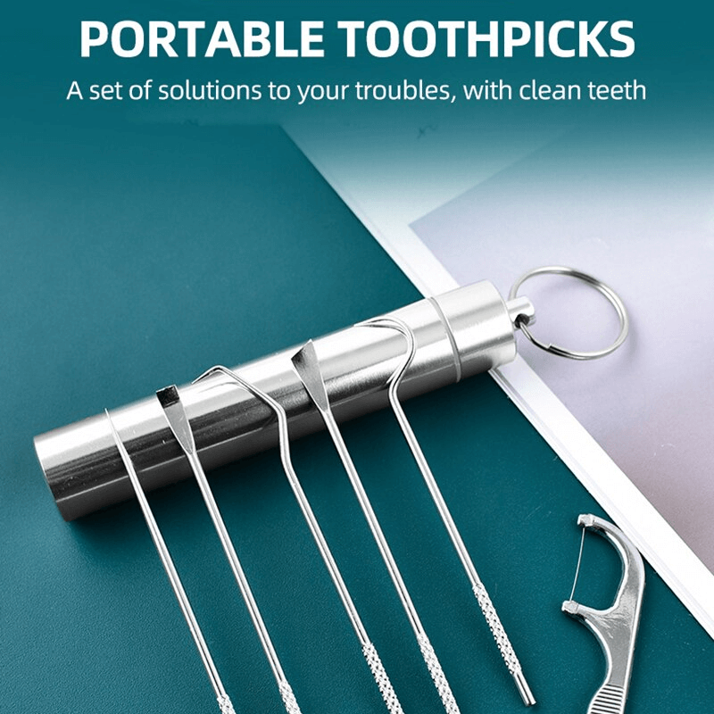 Zahnstocher-Set aus Edelstahl Wiederverwendbar
