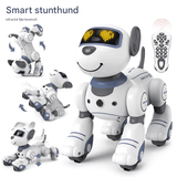 Intelligenter Roboterhund für Kinder - elektronisches, tanzendes und programmierbares Spielzeug