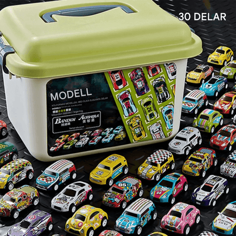 30 Stück Alu-Rennwagen mit Aufbewahrungsbox - Rennspielzeug für Kinder
