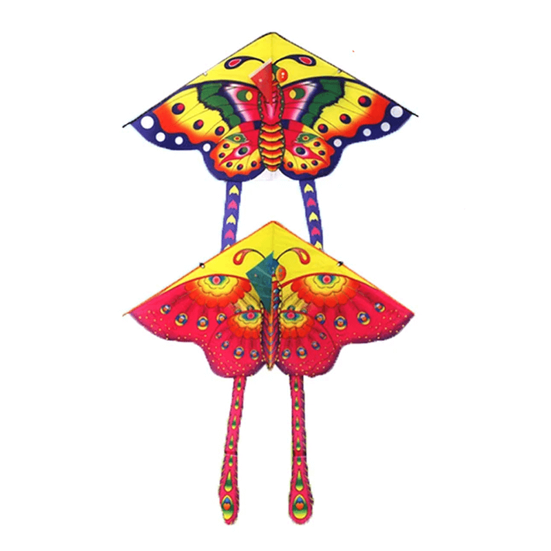 Outdoor-Spielzeug Schmetterlingsdrache - lustige und bunte Abenteuer für Kinder