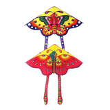 Outdoor-Spielzeug Schmetterlingsdrache - lustige und bunte Abenteuer für Kinder