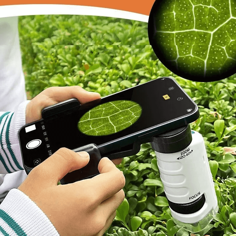 Tragbares Kindermikroskop Spielzeug - Vergrößerung 60X-120X mit LED
