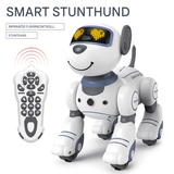 Intelligenter Roboterhund für Kinder - elektronisches, tanzendes und programmierbares Spielzeug