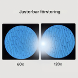 Tragbares Kindermikroskop Spielzeug - Vergrößerung 60X-120X mit LED