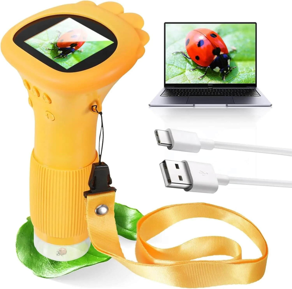 MicroPlay – Digitales Kindermikroskop mit 1000-facher Vergrößerung, 2-Zoll-IPS-Bildschirm sowie Foto- und Videofunktion
